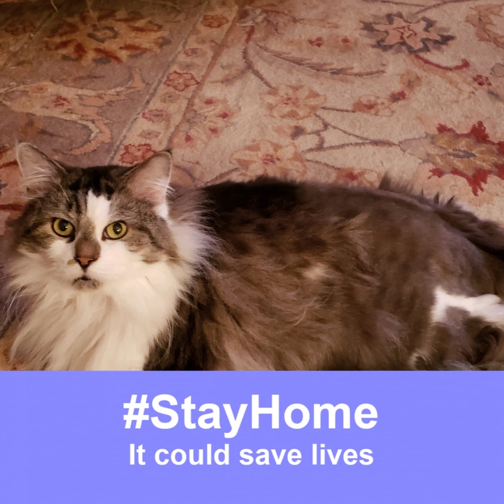 Meet your Posher, Pam